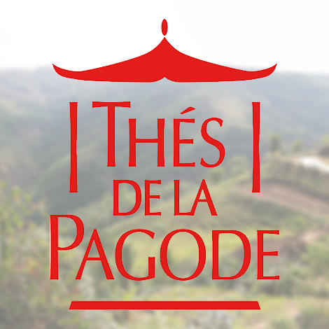 Thés de la Pagode, la science infusée de tradition